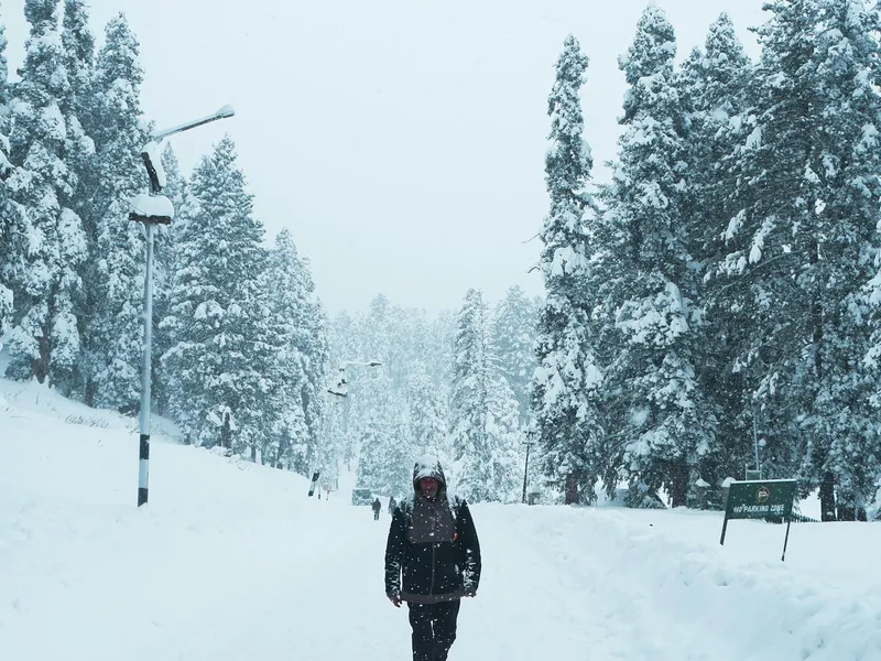 Forest edge trail near Bangus Valley Kashmir