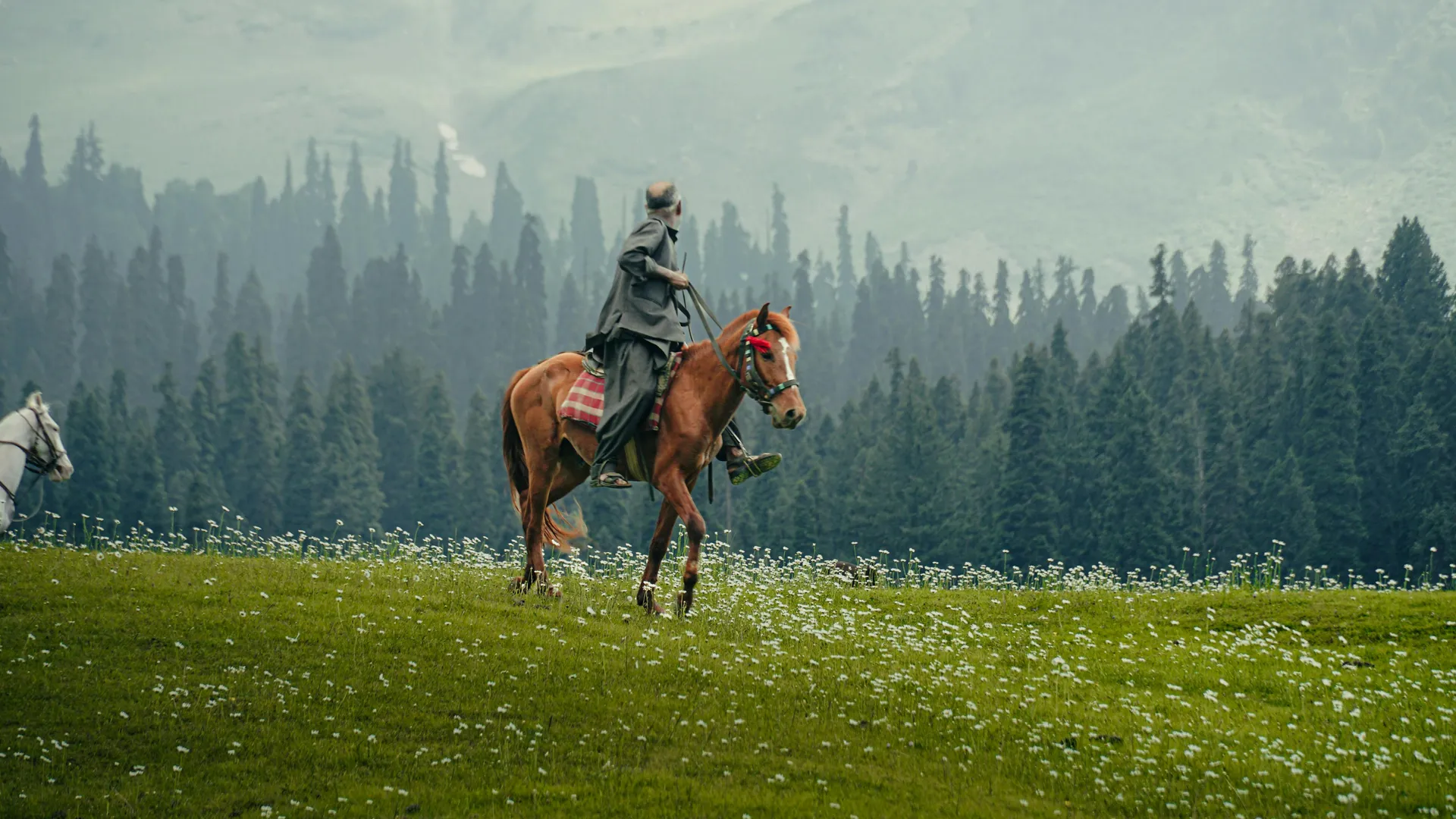 Horseback rider crossing a green mountain meadow