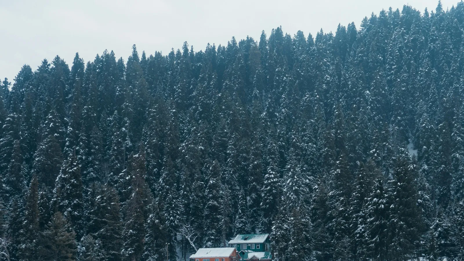 Gulmarg alpine winter snow landscape