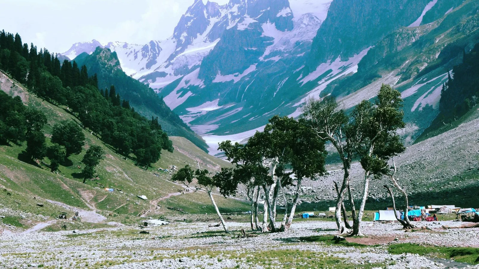 Scenic view of Pahalgam valley, Kashmir