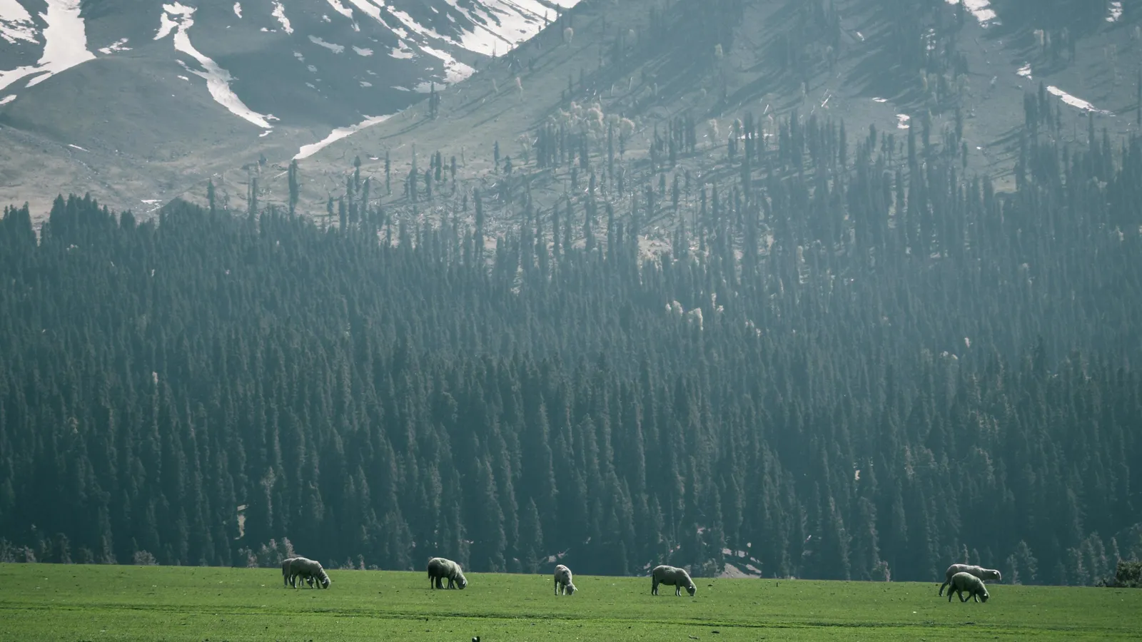 Kashmir green valley versus Ladakh barren mountains