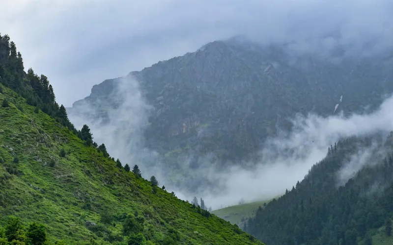 Best Time to Visit Kashmir: Month-by-Month Guide