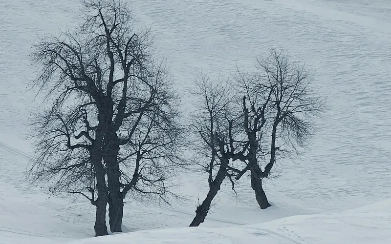 5 essential tips for a Kashmir trip