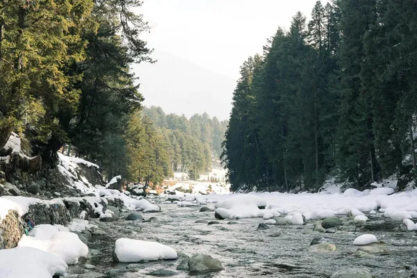 Aru Valley alpine meadow and wooden village Kashmir