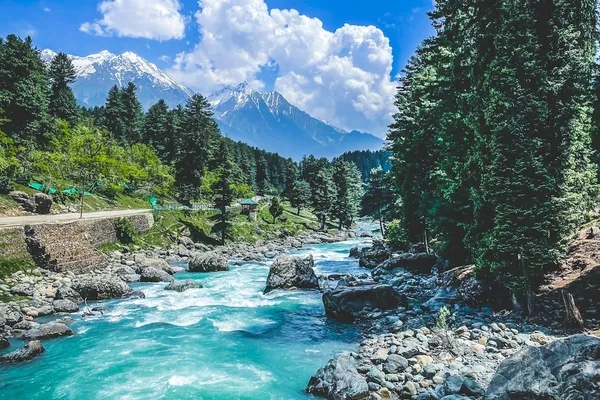Betaab Valley river and pine forest near Pahalgam