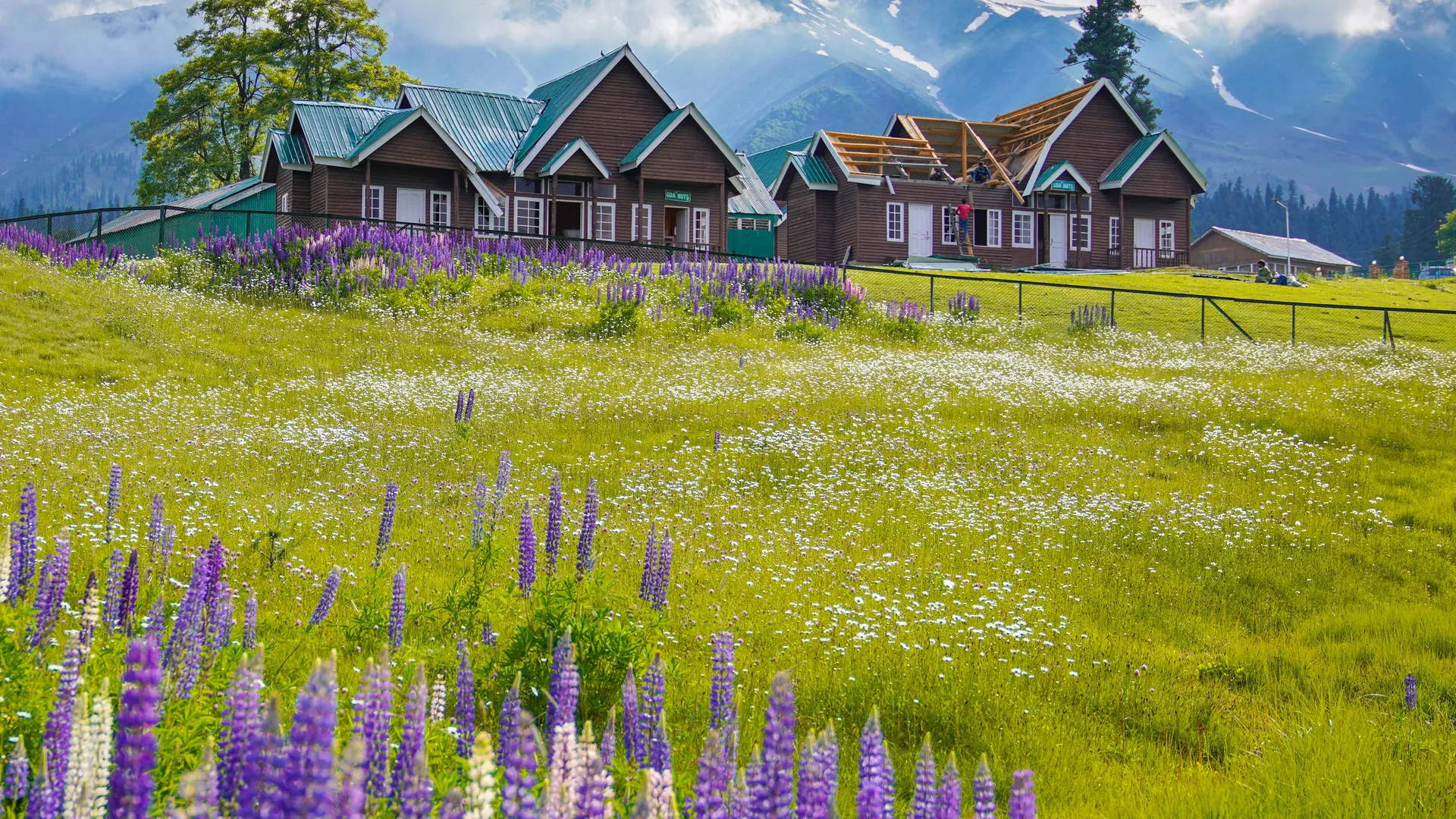 Kashmir and Ladakh themed package planning