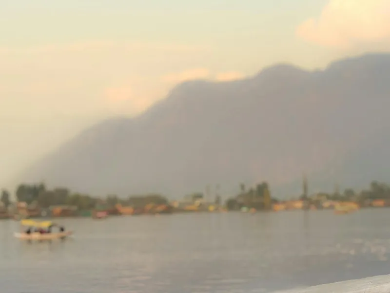 Honeymoon to Paradise