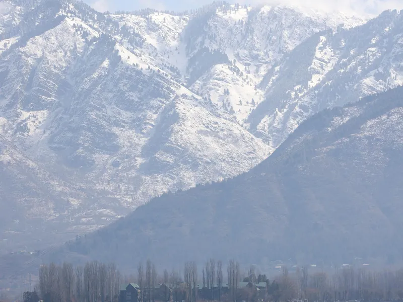 Boats on Dal Lake with snowcapped peaks