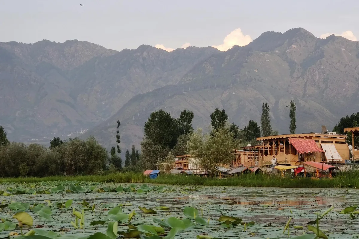 Dal Lake houseboats and lotus lilies in Srinagar