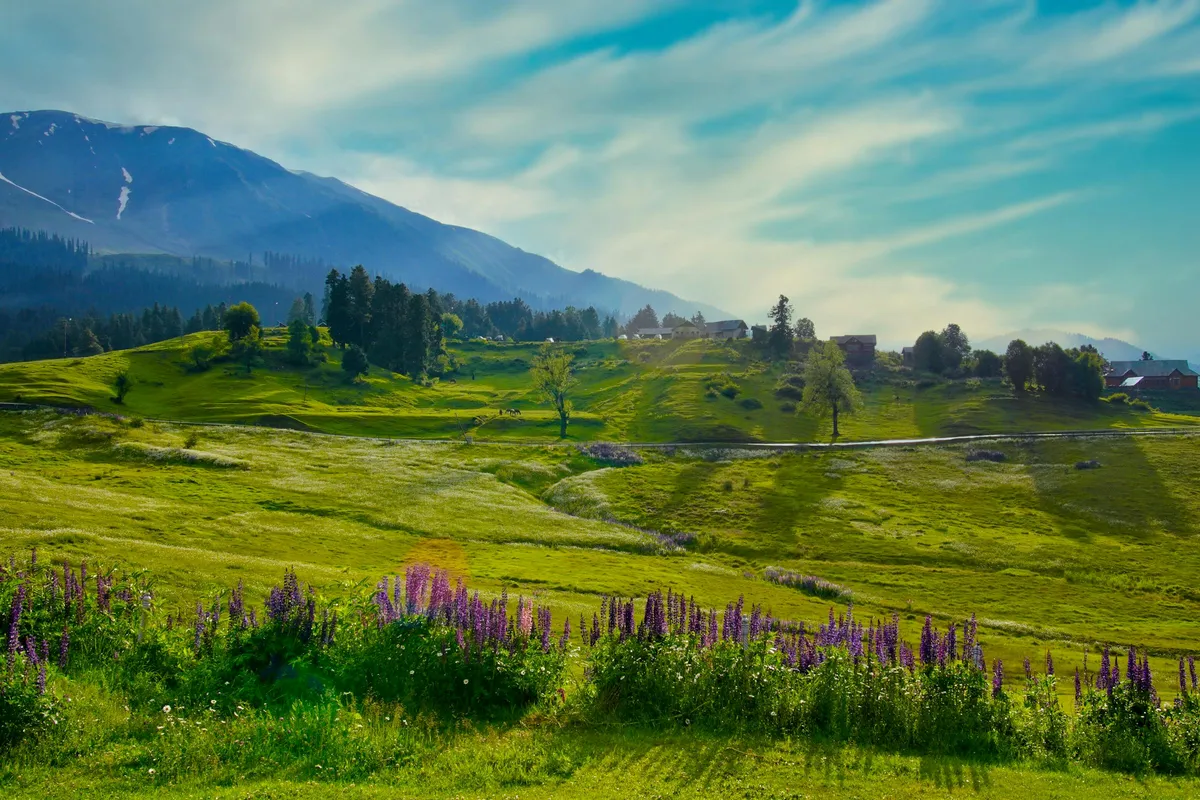 Lolab Valley walnut orchards and rice terraces Kupwara