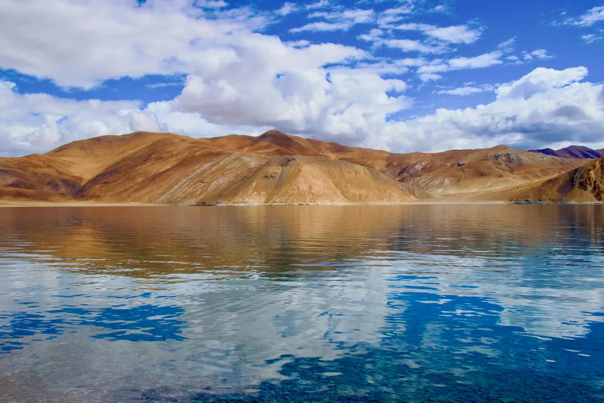 Tso Kar salt lake wildlife habitat Changthang Ladakh