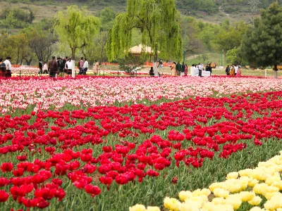 8 tips for a perfect Kashmir vacation